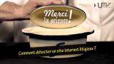 vignette